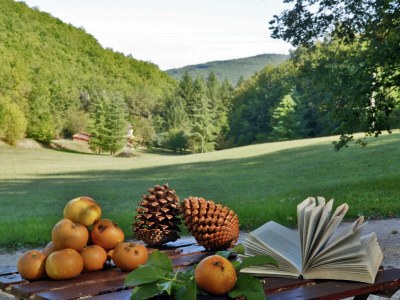 Holiday park Stylish stay on a private estate with sauna, heated pool and bubble bath - Outdoor photo 5