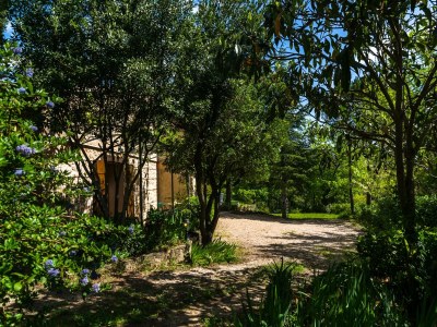 Holiday house Provencal House in Seillans with Pool - Outdoor photo 10
