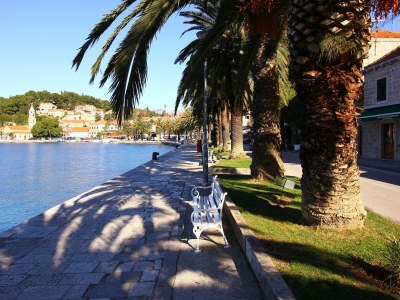 Holiday house Stone House in Brotnice near Cavtat & Sea - Environment photo 17