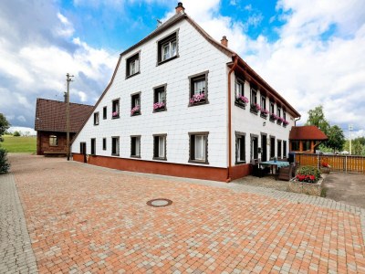 Apartment Wohnung in Lauterbach nahe Skipisten in Middle Black Forest - Apartment