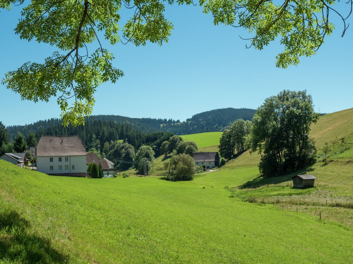 Apartment Ferienwohnung, Furtwangen - Outdoor photo 5