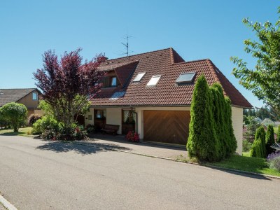 Apartment Ferienwohnung, Furtwangen in Middle Black Forest - Apartment
