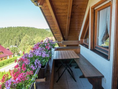Apartment Ferienwohnung, Furtwangen - Outdoor photo 7