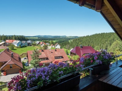 Apartment Ferienwohnung, Furtwangen - Outdoor photo 8