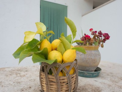 Holiday house Trulli-Style Chalet near Forest Walks - Outdoor photo 7