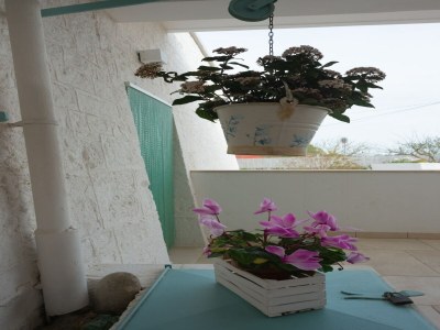 Holiday house Trulli-Style Chalet near Forest Walks - Outdoor photo 48