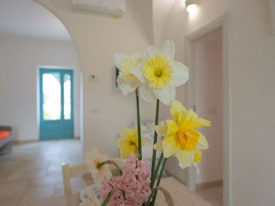 Holiday house Trulli-Style Chalet near Forest Walks - Outdoor photo 51