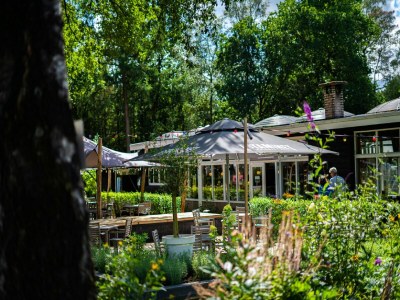 Holiday park Spacious Villa in Hoenderloo - Outdoor photo 30