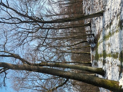 Apartment 2-Bett-Ferienwohnung Dusche/WC, 1 Schlafraum - Outdoor photo 17