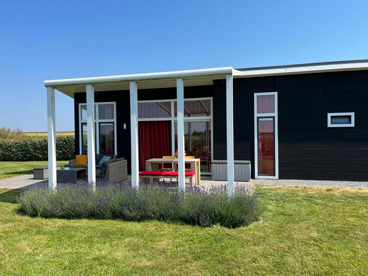 Holiday park Freistehendes Haus in Zeeland mit Aussicht