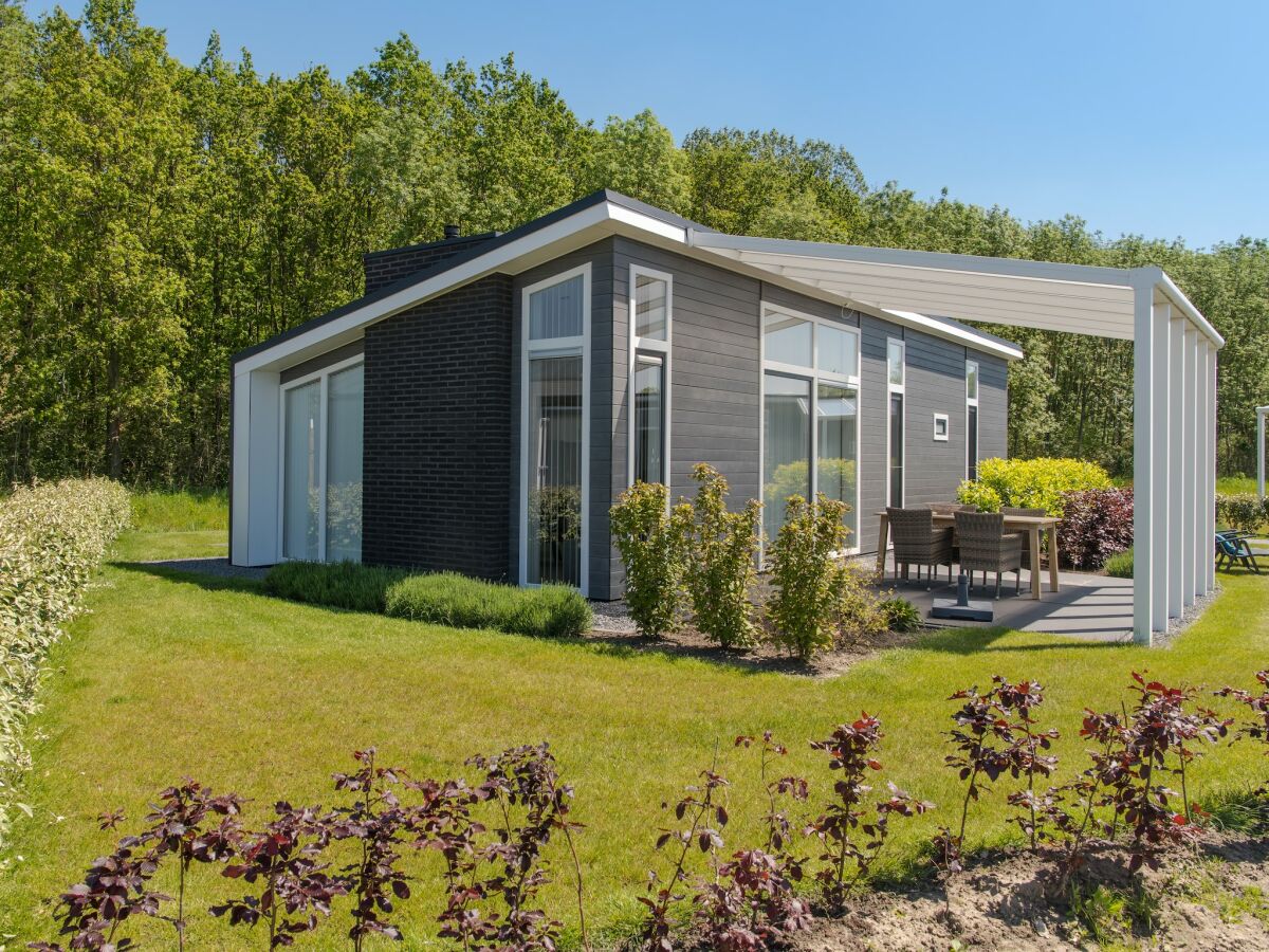 Holiday park Modern Chalet by Forest in Zeeland