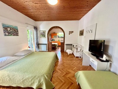 Apartment Studio Ugrin with Terrace - Features photo 12