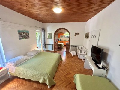 Apartment Studio Ugrin with Terrace - Features photo 13