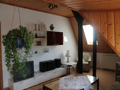 Apartment Schöne Zweizimmer-Ferienwohnung mit Pool im Garten - Features photo 9