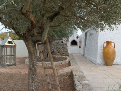 Holiday house Villa in Apulien mit Pool und Garten - Outdoor photo 3