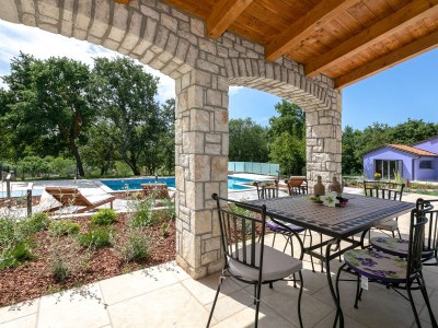 Villa Irena Funtana with pool - Features photo 18