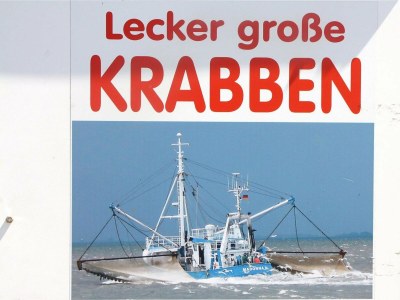 Holiday house Ferienhaus in Neukirchen nahe Sylt Strand - Outdoor photo 38