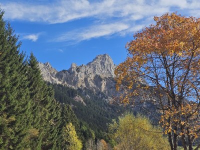 Holiday apartment Berta, Bergblick, Balkon, ruhig - Outdoor photo 15