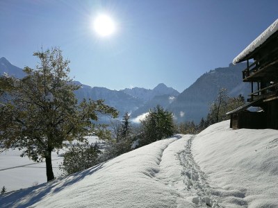 Holiday park Wohnung in Hippach nahe Mayrhofen Skigebiet - Environment photo 28