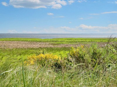Holiday house Panoramic View Retreat - By Traum Ferienwohnungen - Outdoor photo 35