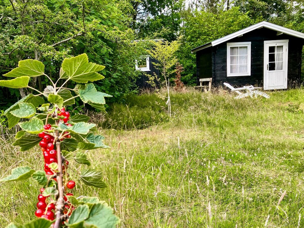 Holiday house 5 person holiday home in Vesløs-By Traum - Outdoor photo 5