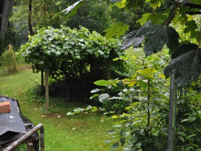 Holiday house Kroesen Summer House - Outdoor photo 7