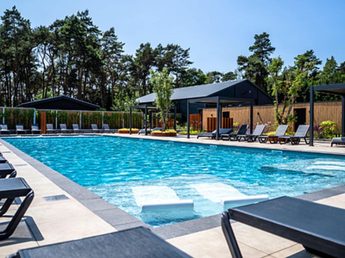 Holiday park Chalet by Park Pond in the Netherlands - Outdoor photo 3