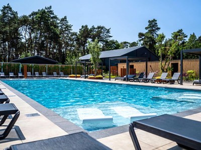 Holiday park Chalet by Park Pond in the Netherlands - Outdoor photo 3