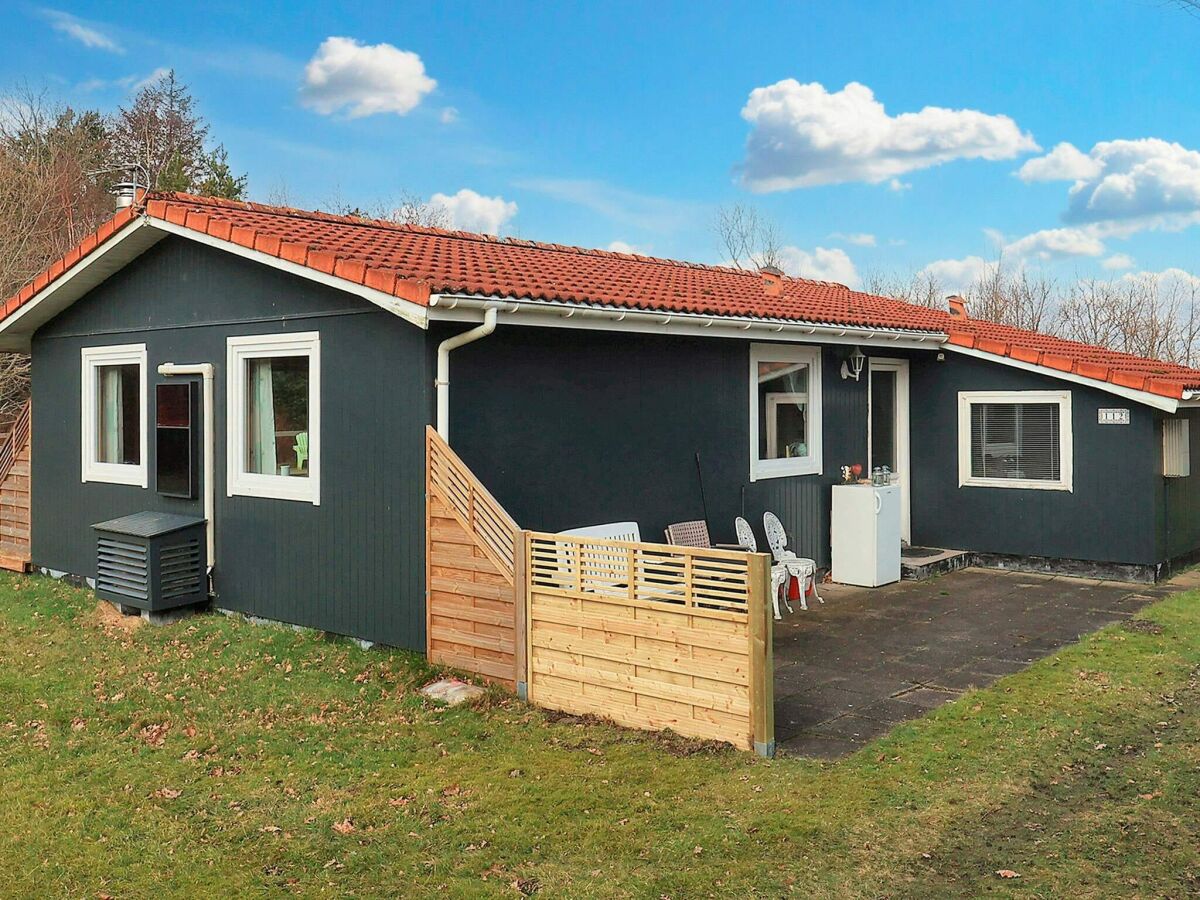 Holiday house 5 Personen Ferienhaus in Asaa-By Traum