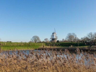 Holiday house Holiday Home in Veere near Historic Center - Environment photo 19