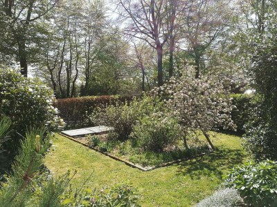Apartment 6-Bettwohnung Roder am Eifelsteig - Outdoor photo 22