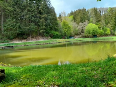 Apartment 5-Bett Ferienhaus Haus am Berg - Outdoor photo 7