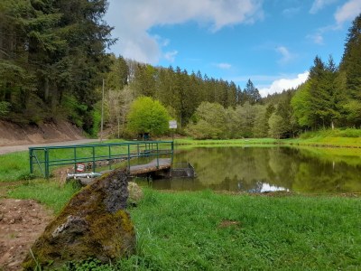 Apartment 5-Bett Ferienhaus Haus am Berg - Outdoor photo 19