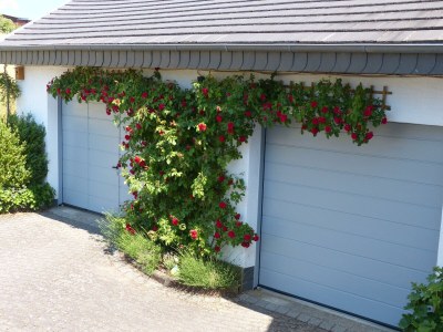 Apartment 4-Bett-Ferienwohnung Dusche/WC bis 6 Personen - Outdoor photo 7