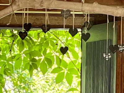 Apartment 6-Bett-Ferienhaus Bauernhaus - Outdoor photo 17