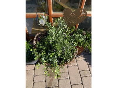 Apartment 2-Bett-Ferienwohnung Opp der Holl - Outdoor photo 24
