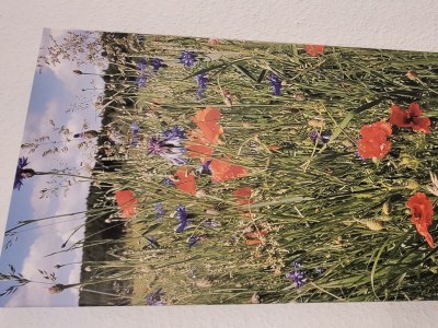 Apartment 5-Bett-Ferienwohnung Dusche/WC, 2 Schlafräume - Features photo 34