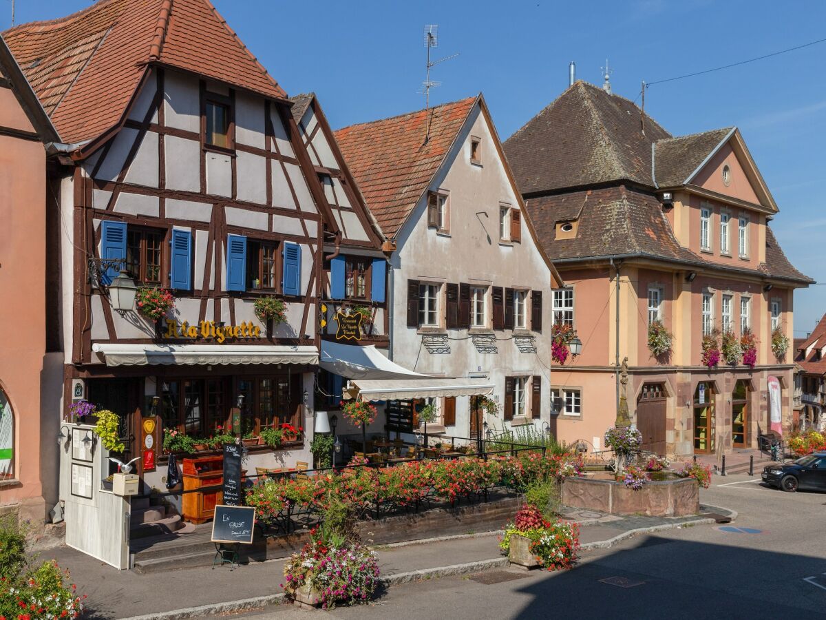 Apartment Wohnung in Elsass nahe Europa-Park