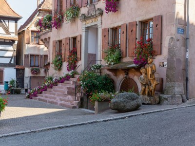 Apartment Wohnung in Elsass nahe Europa-Park - Features photo 10