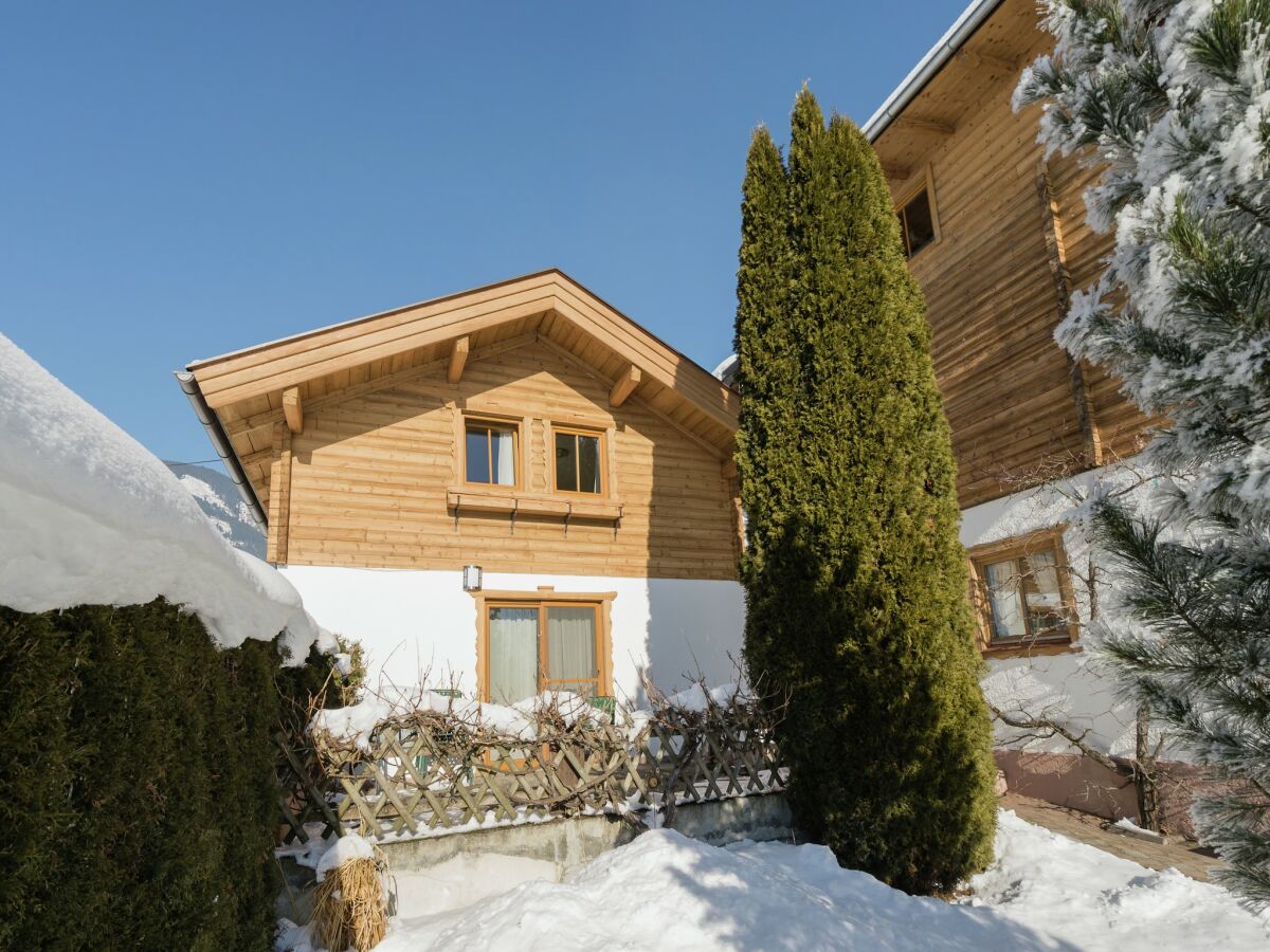 Holiday house Chalet in Piesendorf near Ski Slopes - Outdoor photo 4