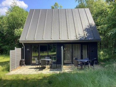 Holiday house 5 Sterne Ferienhaus in Hovborg-By Traum - Outdoor photo 20