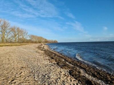 Holiday house Gutshaus Zicker in Garz - Environment photo 18