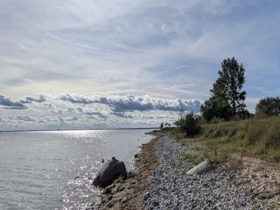 Holiday house Gutshaus Zicker in Garz - Environment photo 25