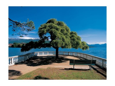 Holiday apartment Le Sommet Rare - Environment photo 19