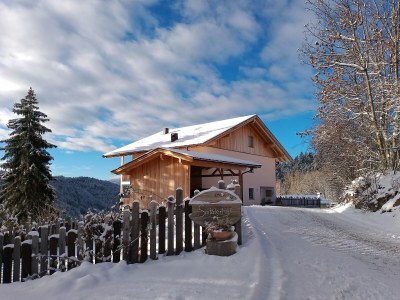 Holiday apartment Spitalerhof - Outdoor photo 3