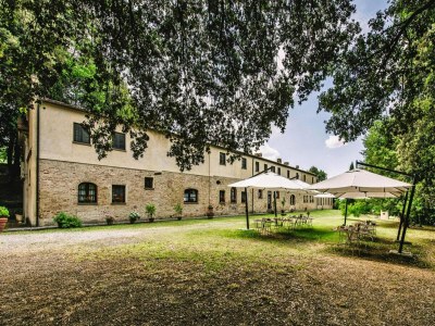 Holiday park Country House in Tuscany with Pool and Olive Grove - Outdoor photo 13