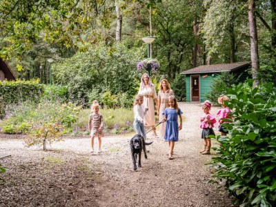 Bungalow Bruine walibi - Environment photo 12