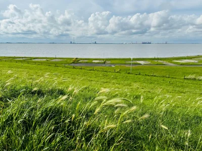 Holiday house Friesenkoje in Tossens - Environment photo 25