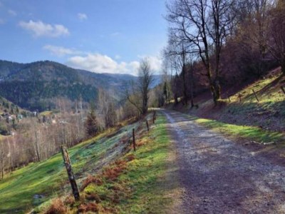 Chalet Chalet in St. Maurice am Ballon d'Alsace - Environment photo 34