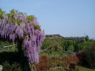 Holiday house Shimmering Serenity in Pastrengo - Outdoor photo 9